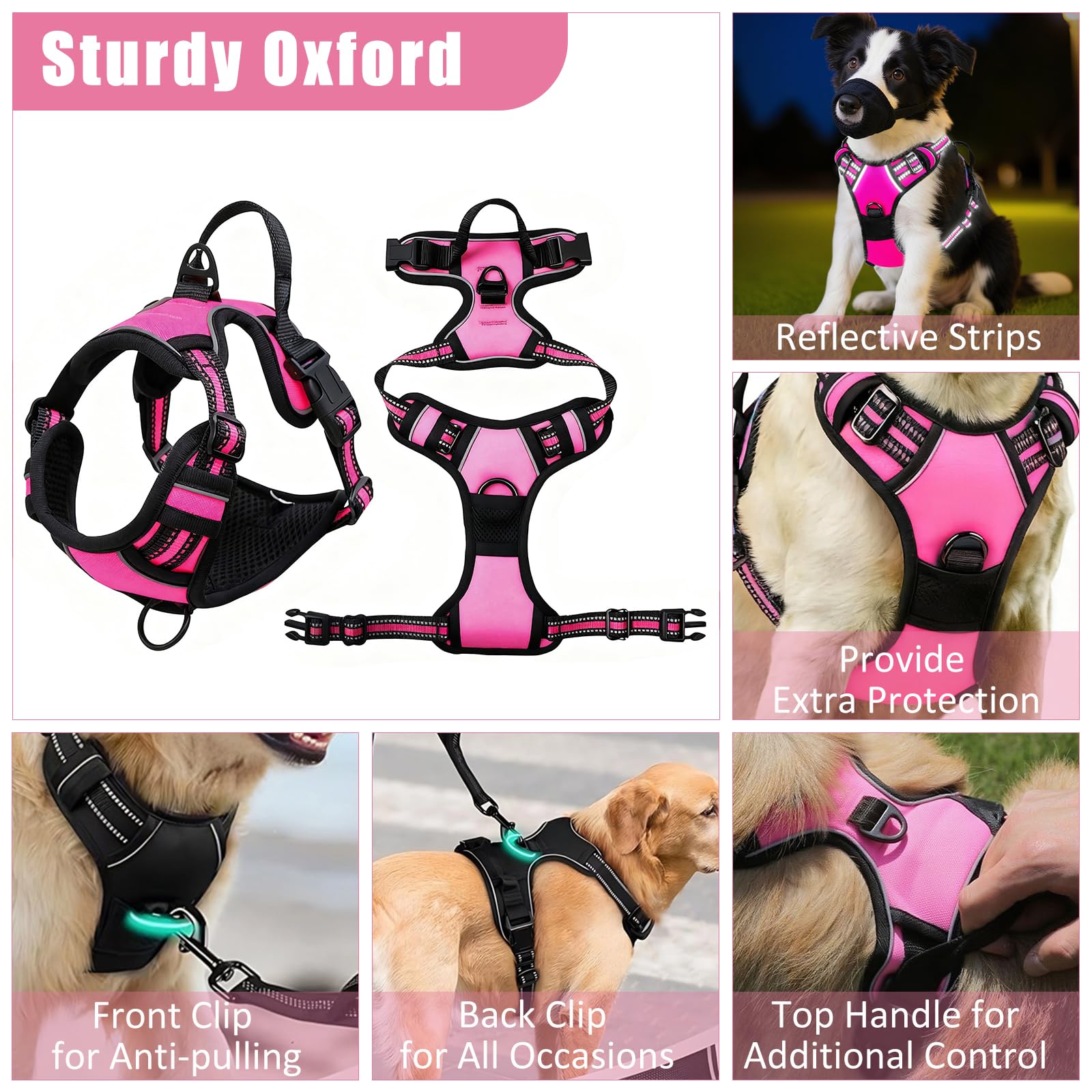 YXFDOYT harnais porté sur chien profil offrant meilleur contrôle