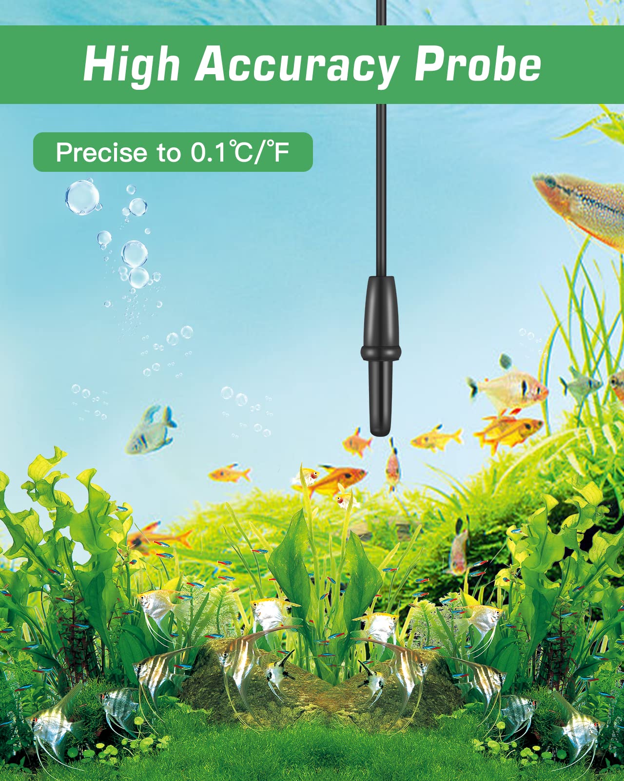 Thermomètre Zacro installé dans terrarium utile pour surveillance quotidienne