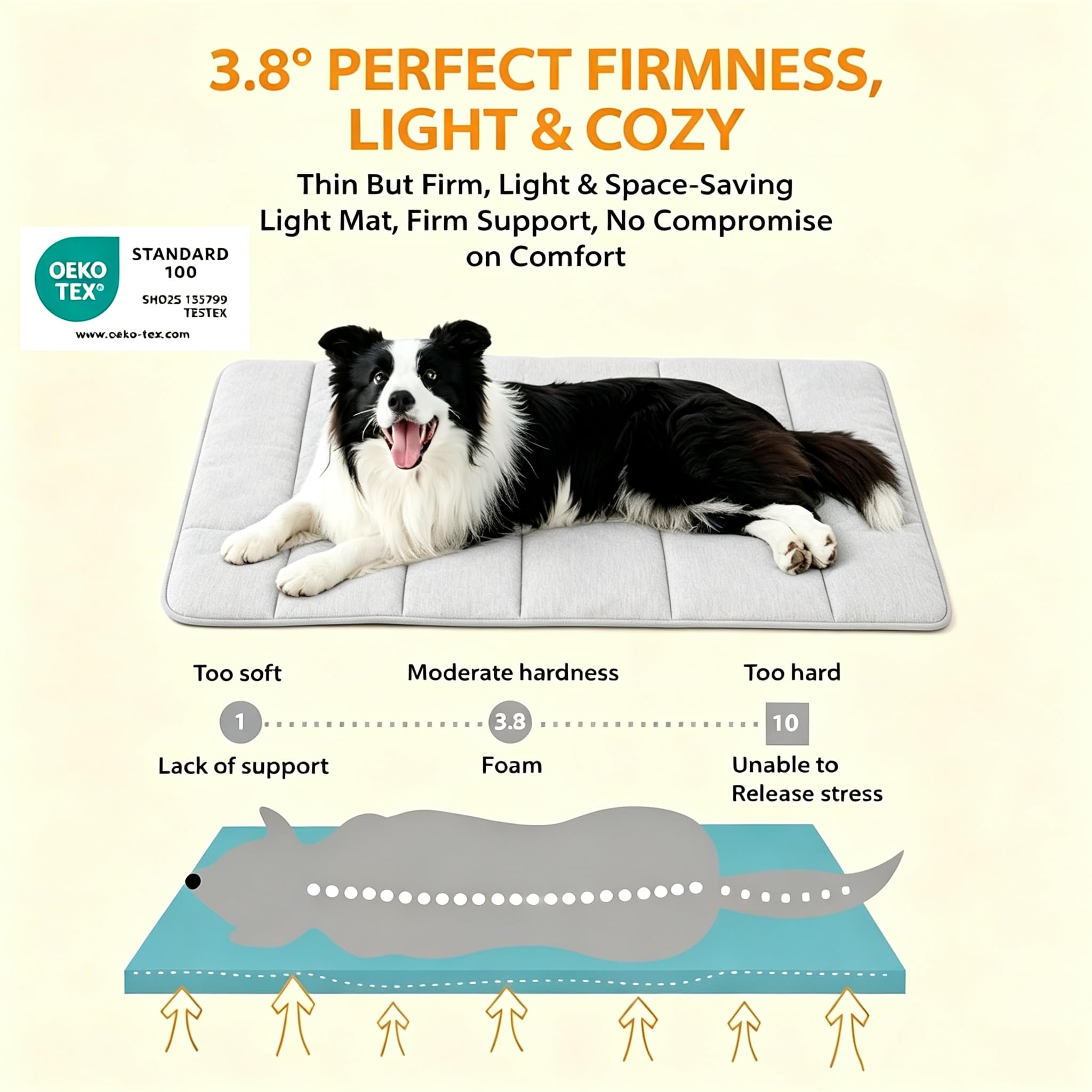 ZAKAPAWS comparaison échelle avec chien montrant dimensions 35x23 pouces