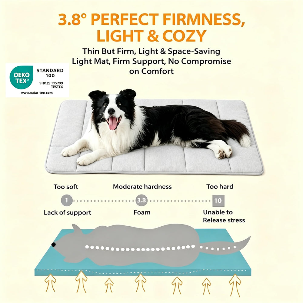 ZAKAPAWS comparaison échelle avec chien montrant dimensions 35x23 pouces