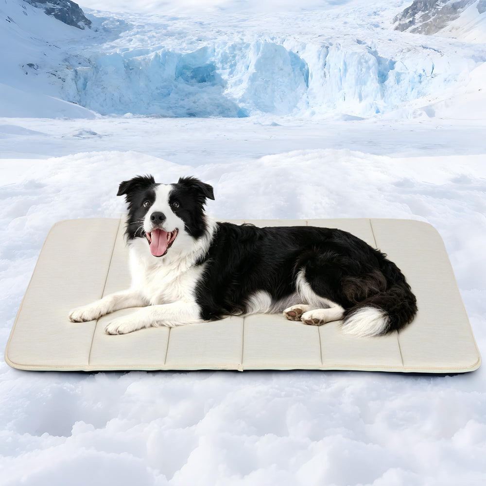 ZAKAPAWS tapis face avant montrant la taille et confort pour grands chiens