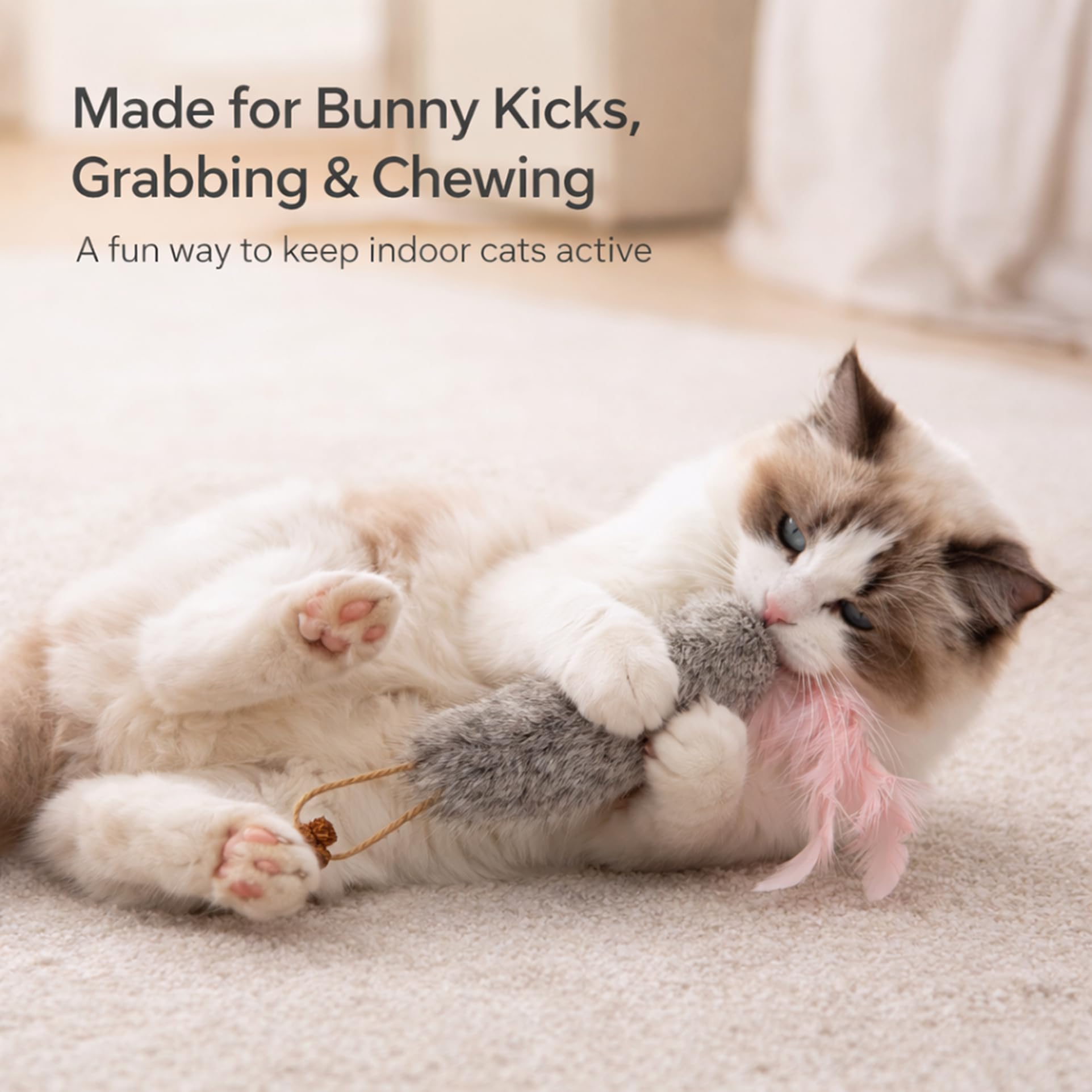 zaylumo plumes naturelles en mouvement, stimulation des instints de chasse