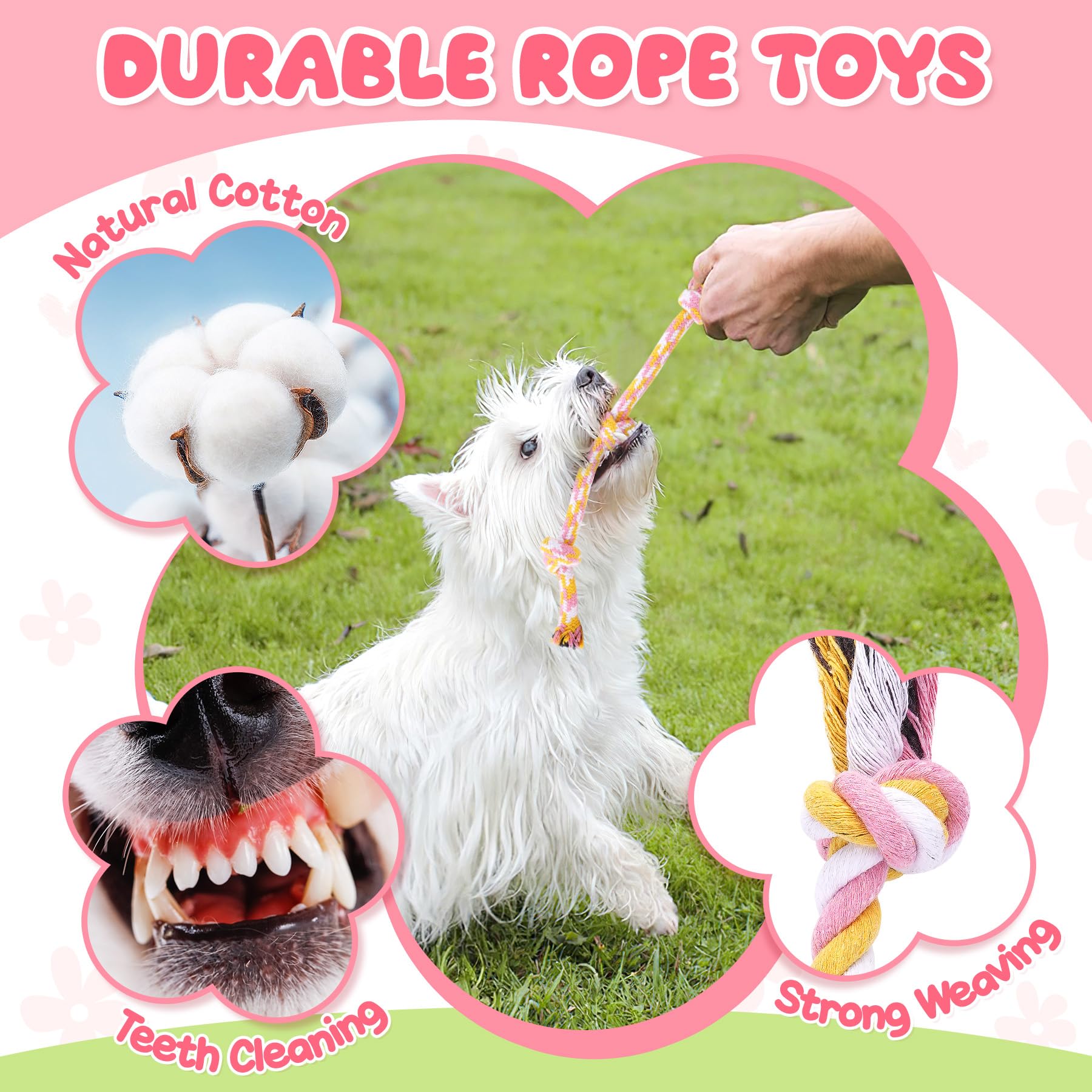 Zeaxuie cordes de traction chiot en action, renforce lien et jeu interactif