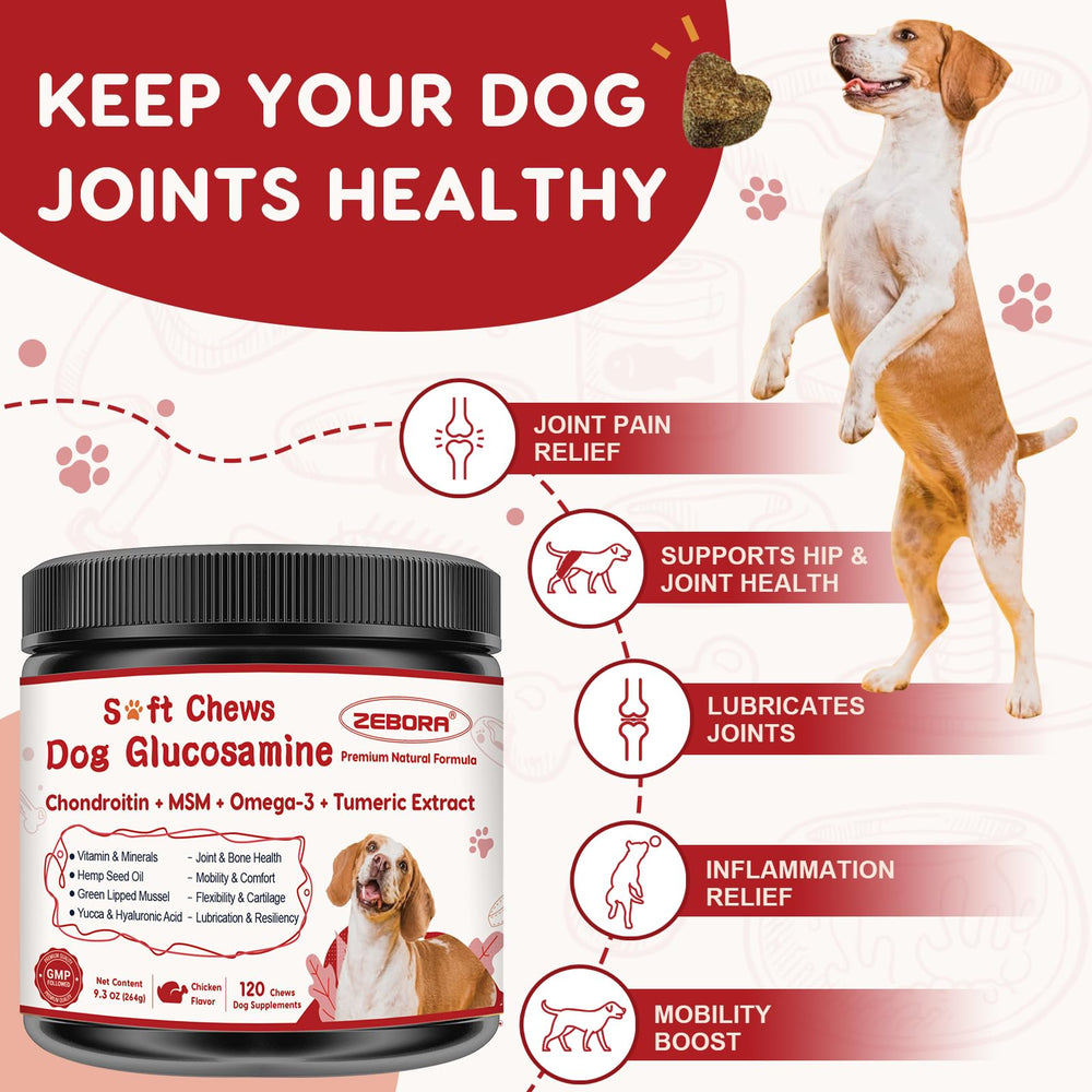 ZEBORA gros plan chew texture moelleuse pour facilité d'absorption
