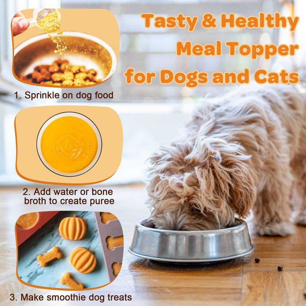 ZEBORA usage en foyer montrant chien mangeant avec bonheur