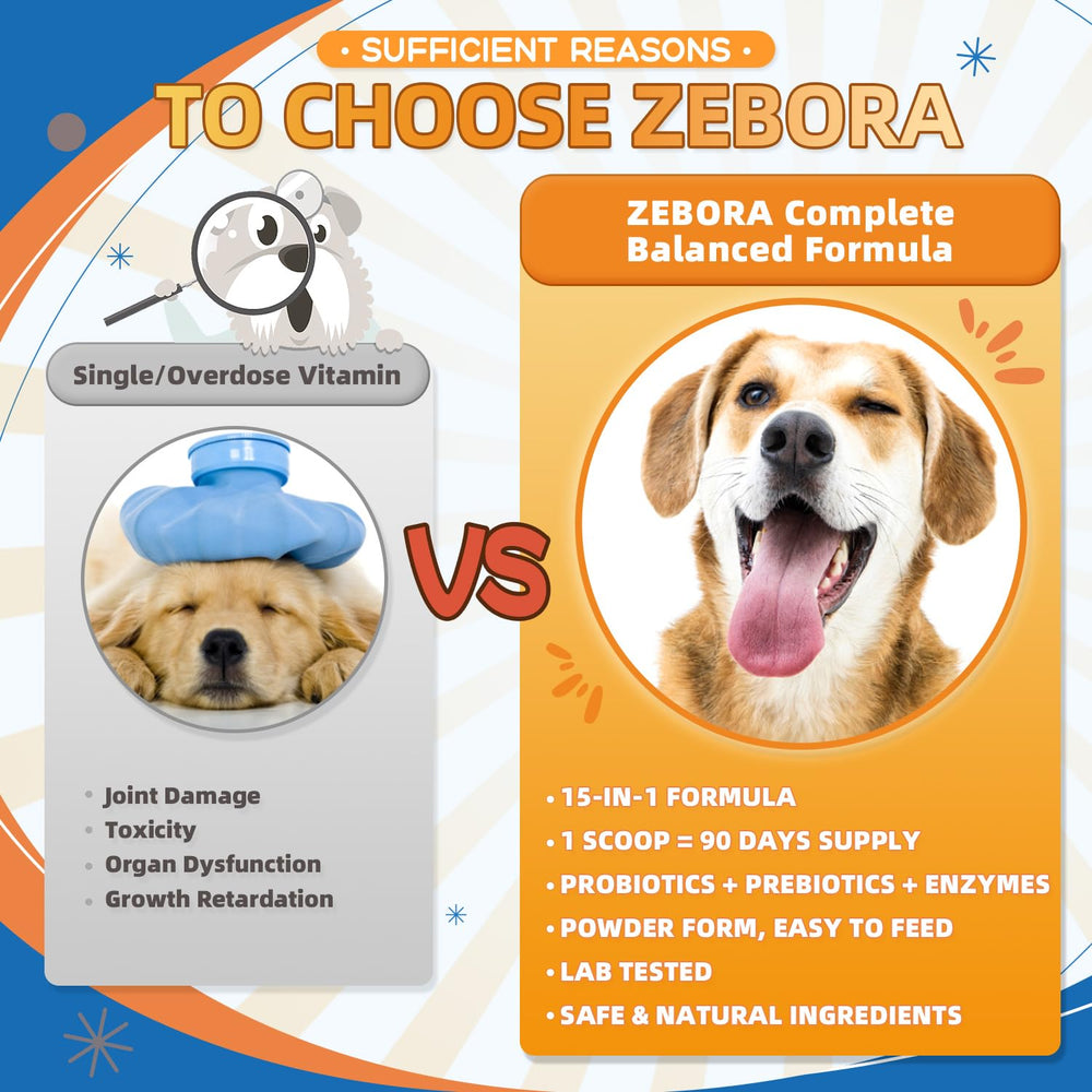 ZEBORA poudre gros plan montrant texture fine et meilleure biodisponibilité