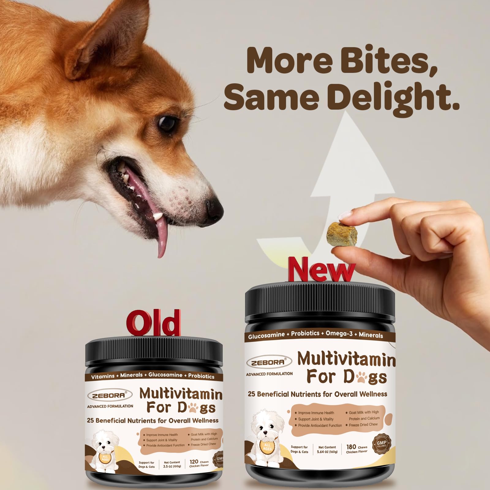ZEBORA en contexte de vie quotidienne renforçant vitalité du chien