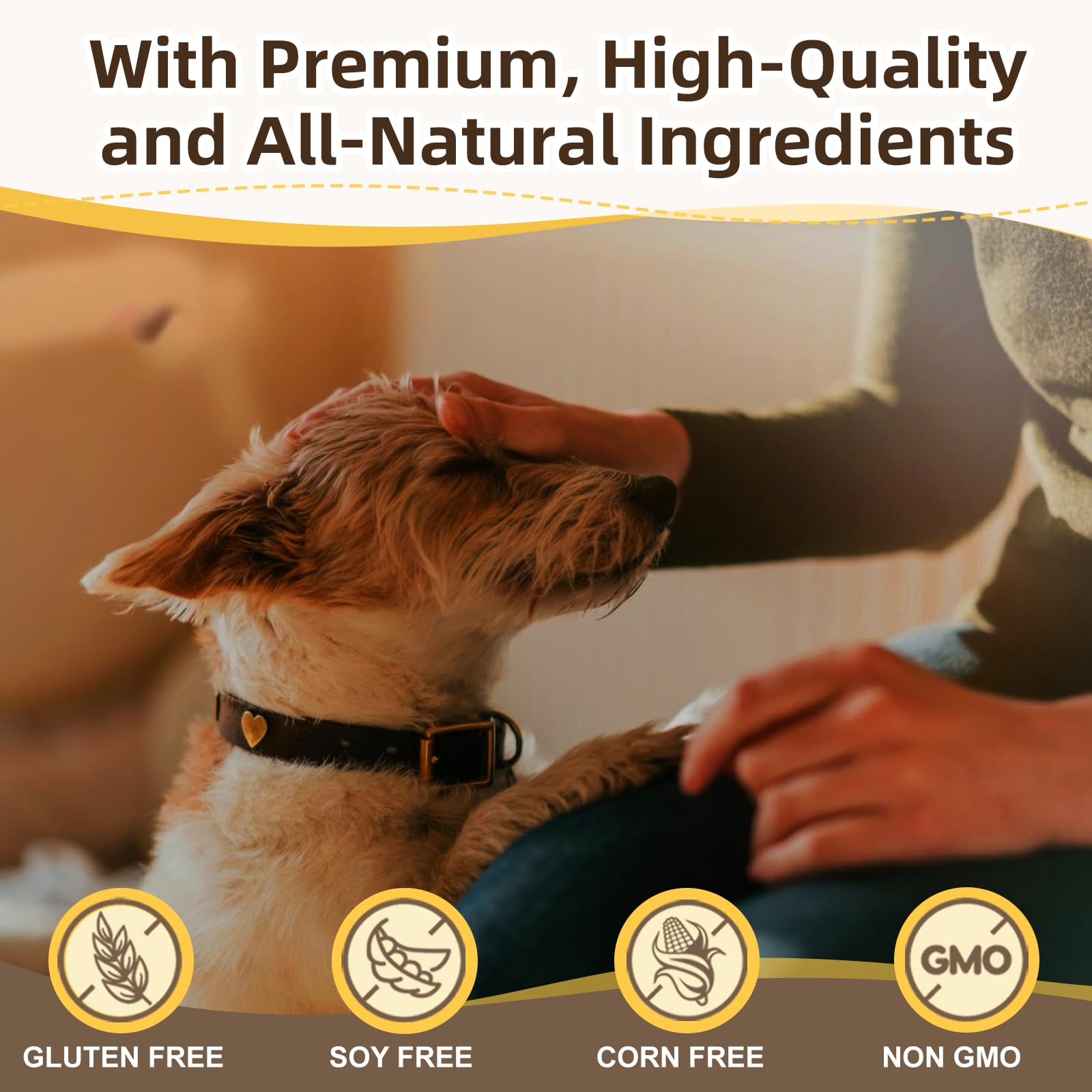 ZEBORA zoom sur texture lyophilisée préservant nutriments clés