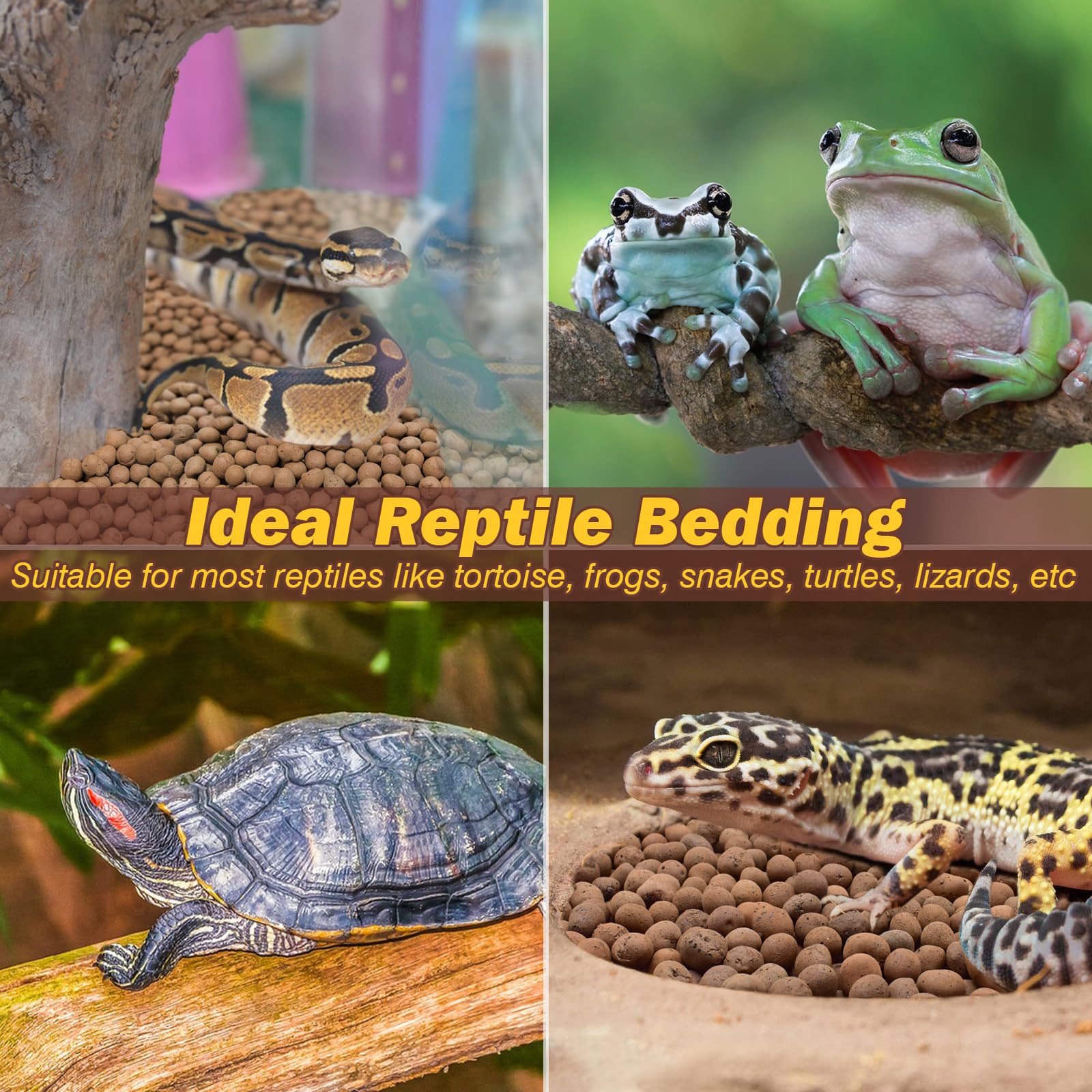 Terrarium fini avec billes ZeeDix visibles, environnement sain et naturel