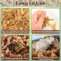 ZeeDix sphaigne en usage dans terrarium apportant humidité stable
