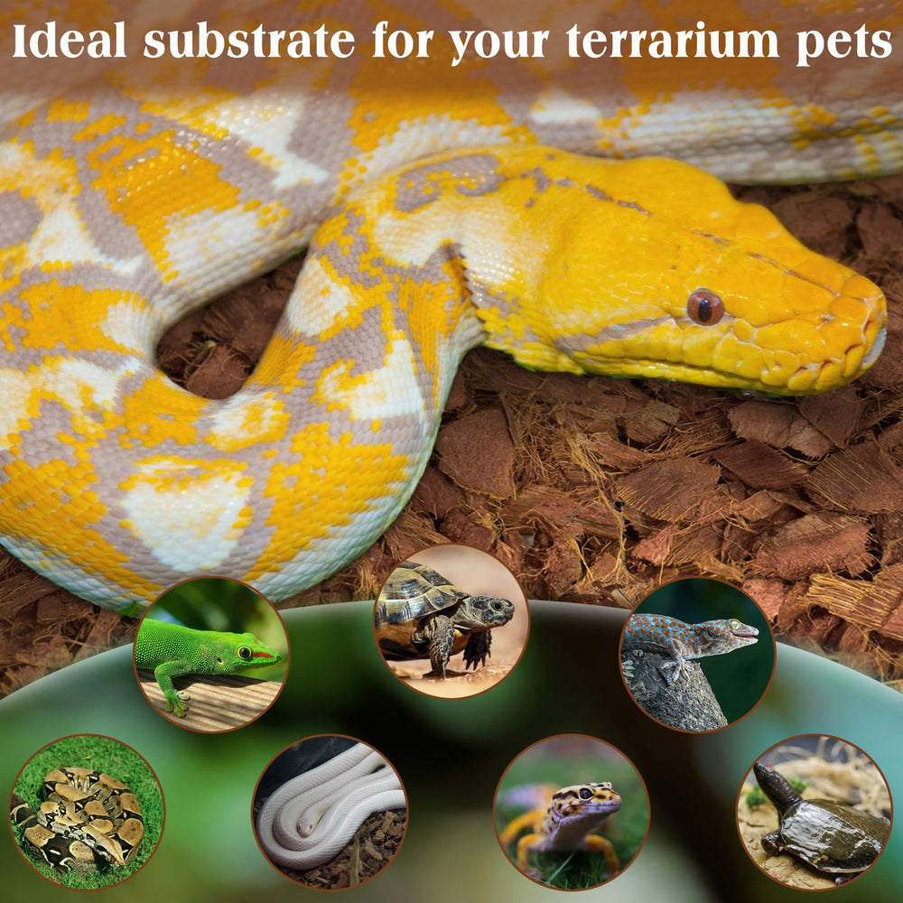 ZeeDix substrat utilisé dans terrarium assurant environnement propre