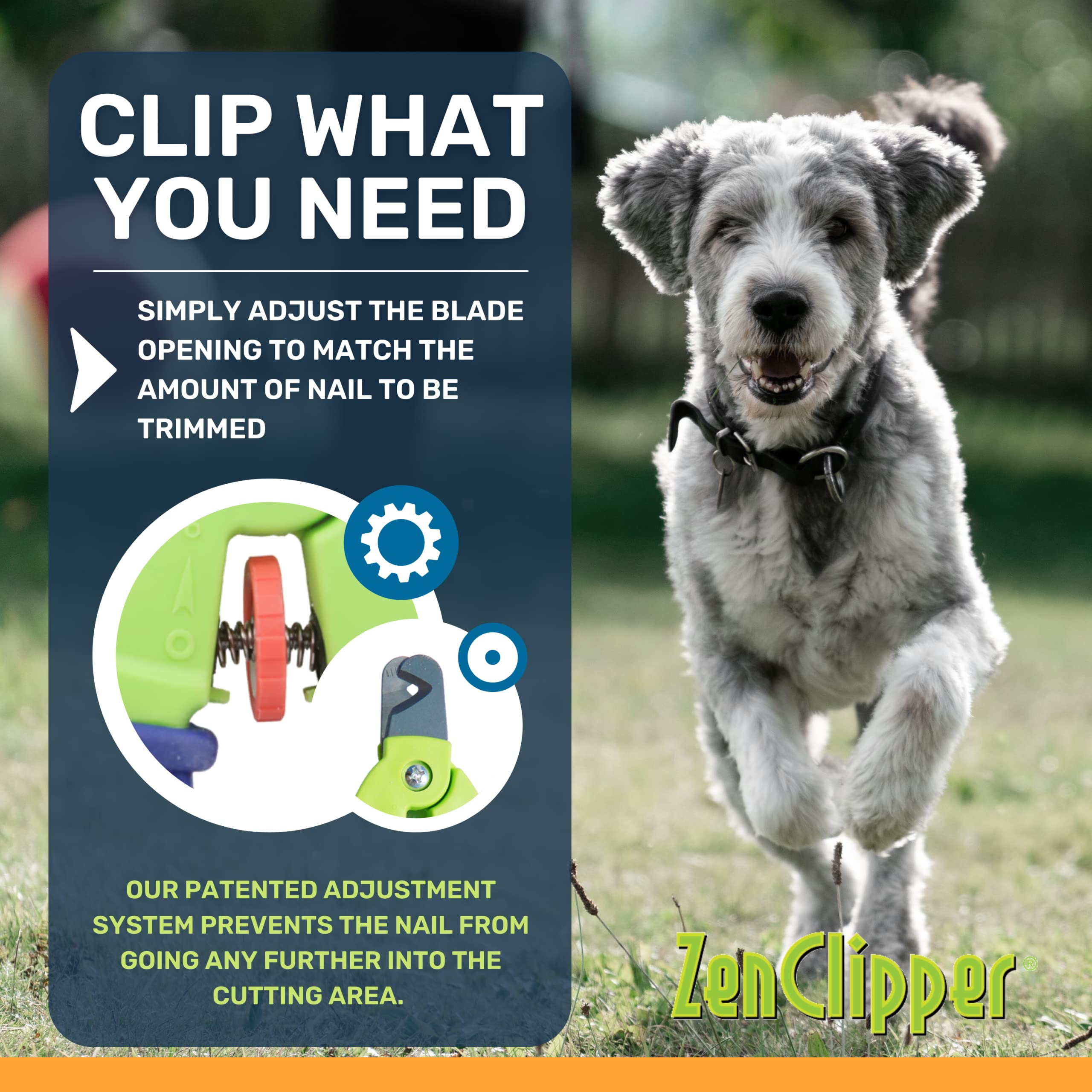 Zen Clipper gros plan lame en acier inoxydable pour coupe nette