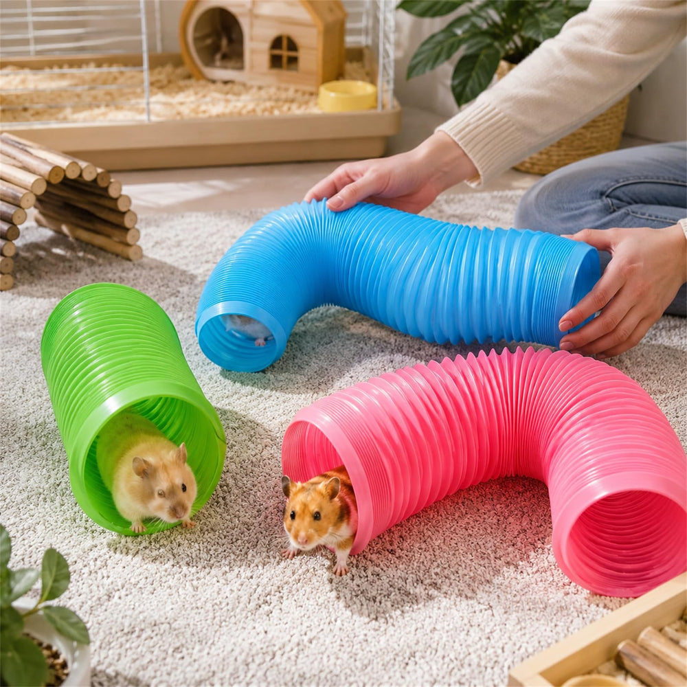 ZENFUN vue intérieure du tunnel révélant surface lisse confortable