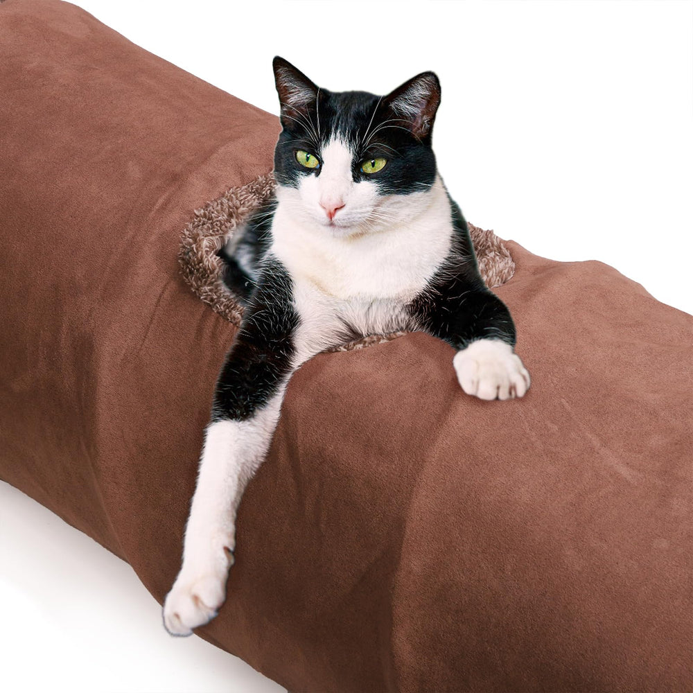 ZENFUN tunnel en usage par un chat actif, favorise exercice et exploration