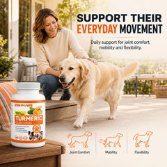 Zenpaws comprimé gros plan montrant texture et format goût canard pratique