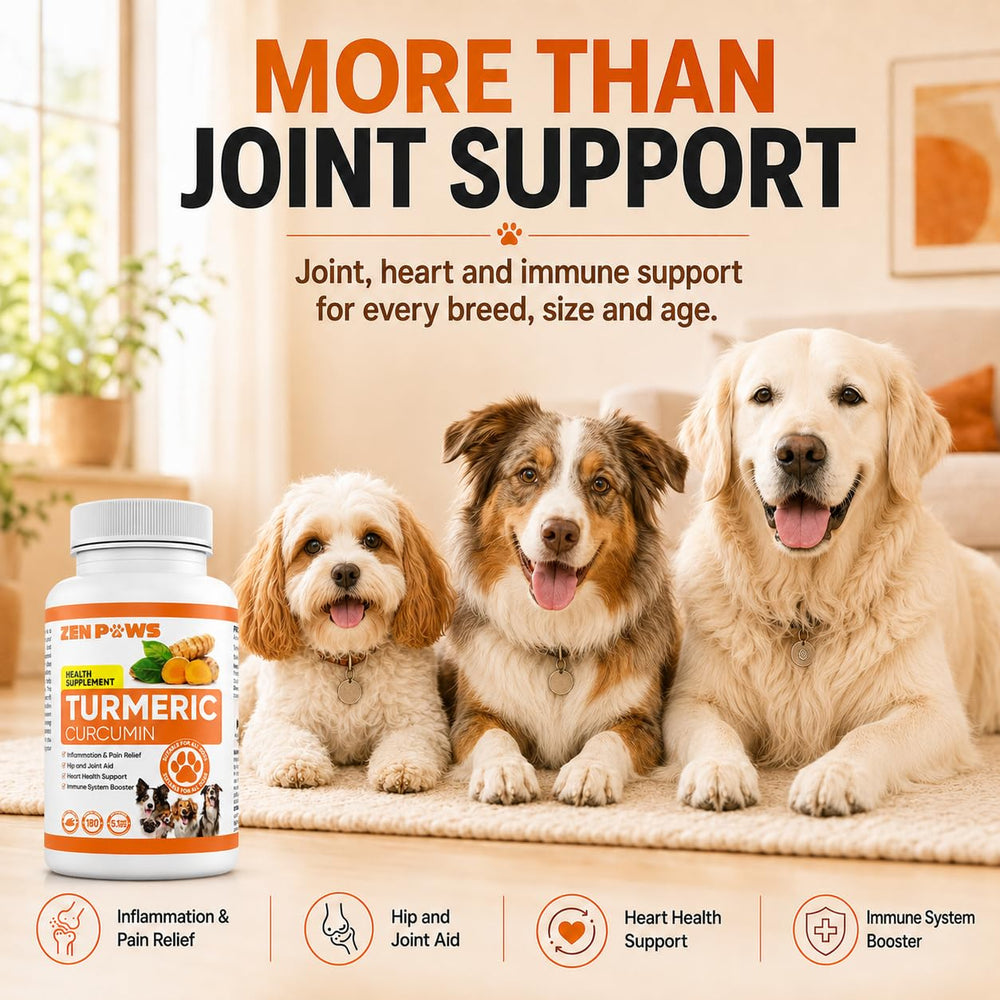 Zenpaws style de vie parc chien actif soulignant mobilité et confort soutenu