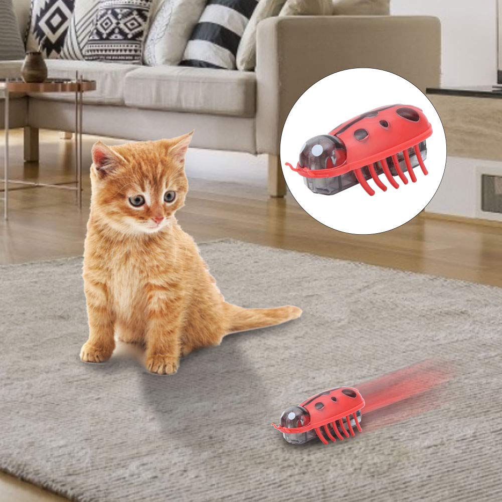 Zerodis balle en usage avec chat stimulant la chasse et activité