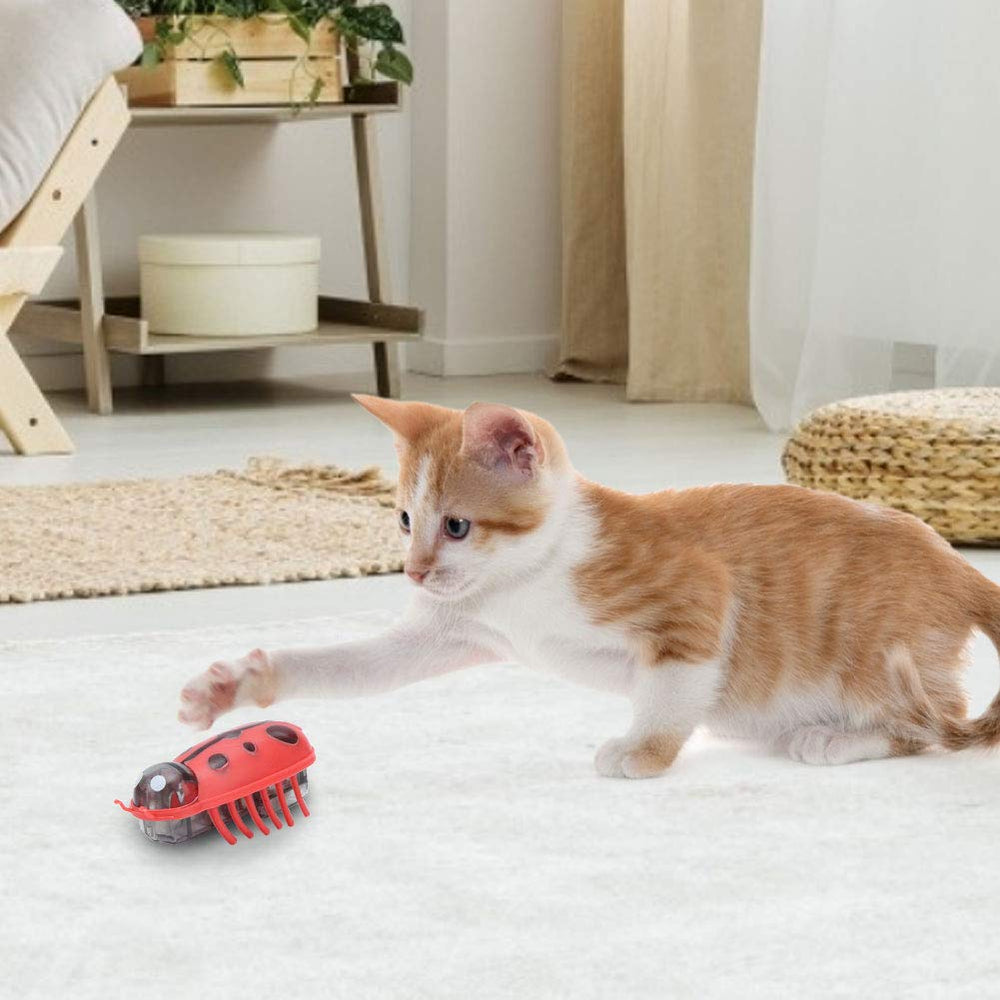 Zerodis comparaison taille à la main pratique pour chatons et adultes