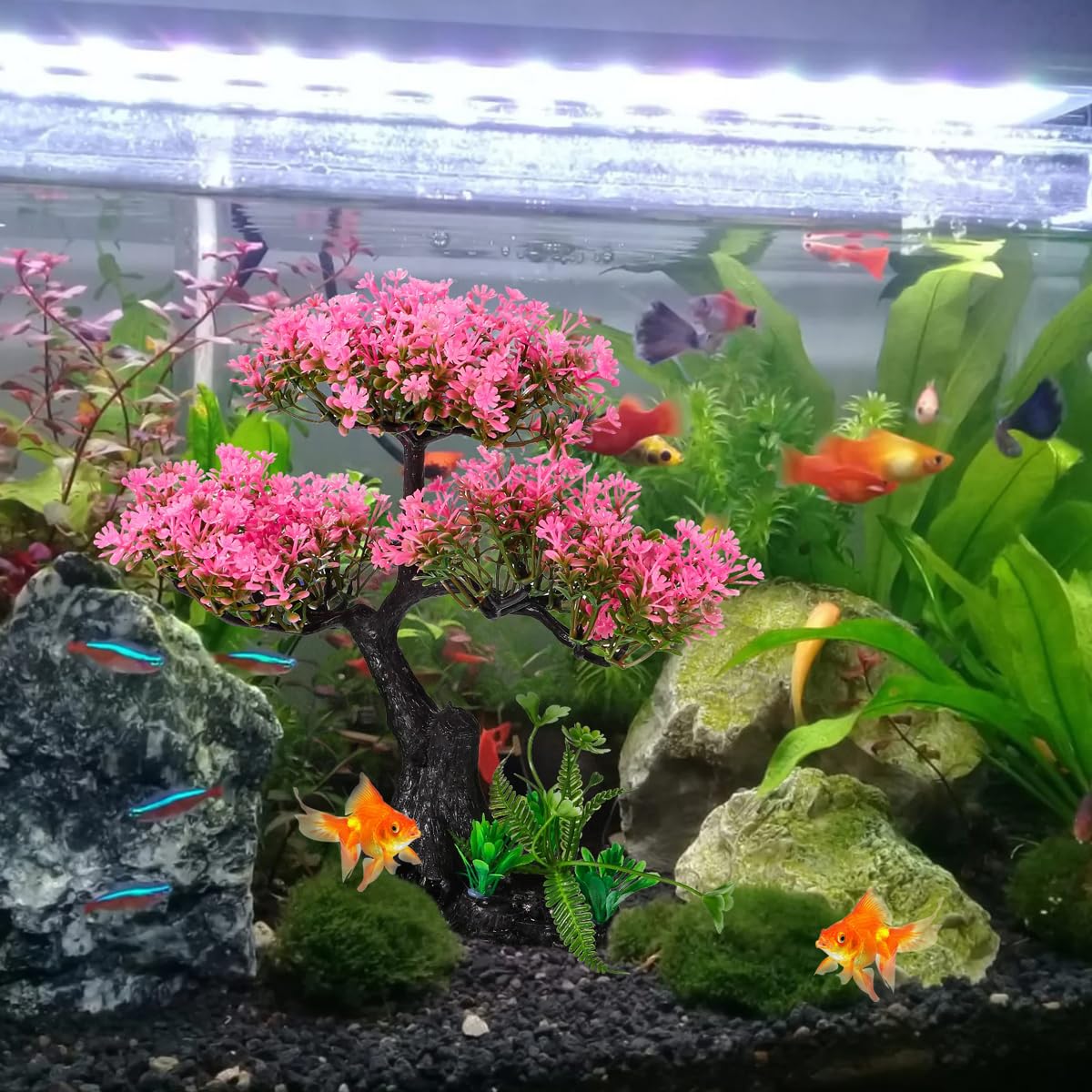 Zeromall échelle dans aquarium montrant proportion et impact visuel