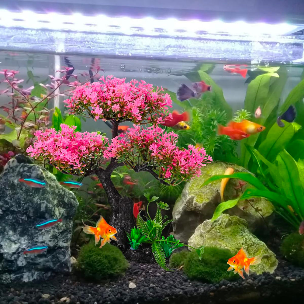 Zeromall échelle dans aquarium montrant proportion et impact visuel