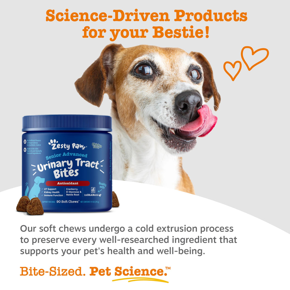 Zesty Paws chien mâchant bouchée illustrant acceptation
