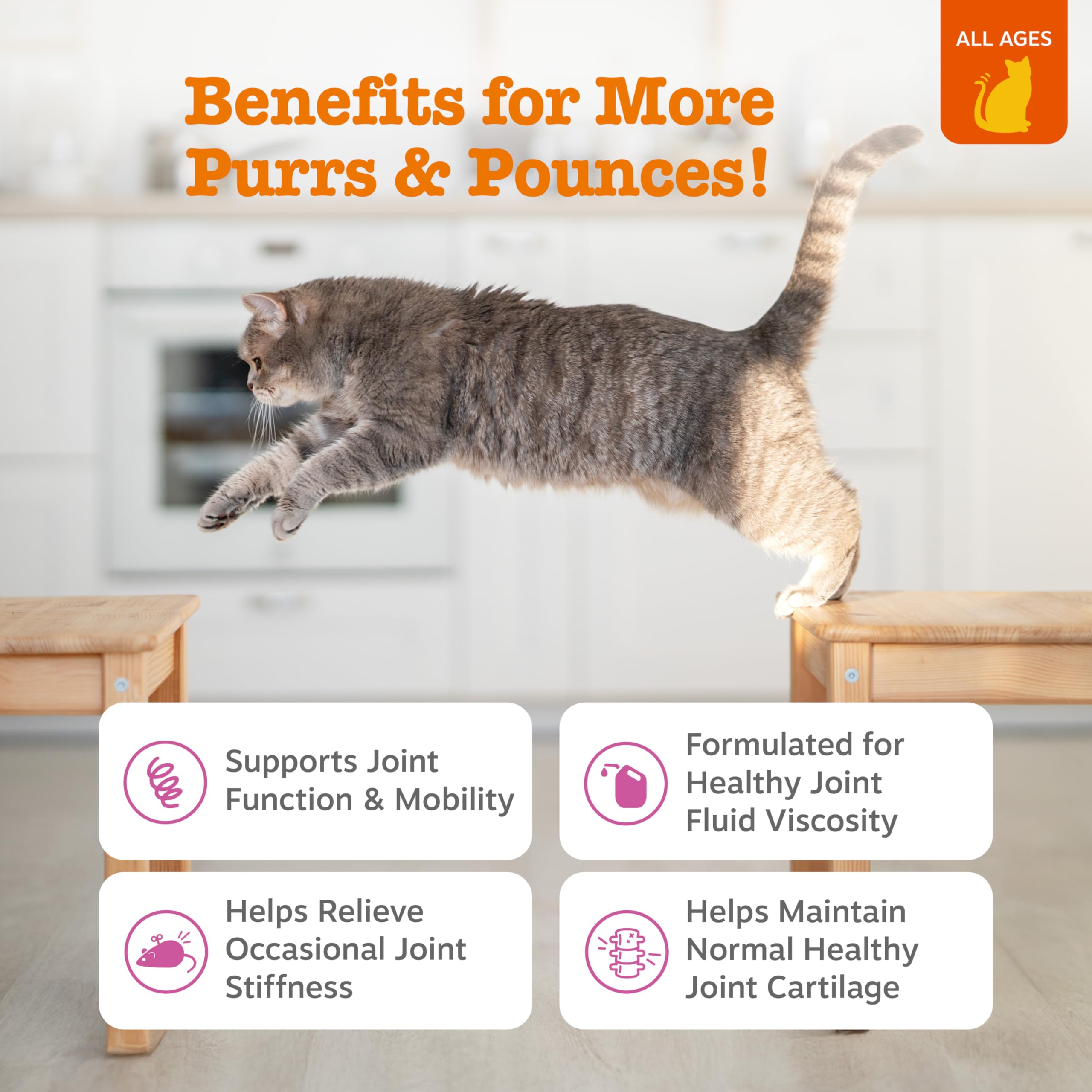 Zesty Paws bouchées gros plan texture molle pour acceptation facile