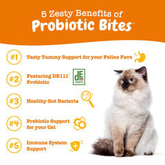 Zesty Paws bouchées gros plan présentant forme molle et appétence accrue