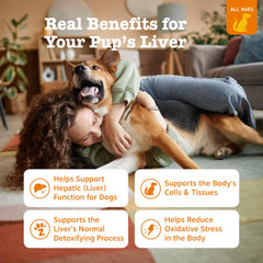 Zesty Paws bouchées gros plan illustrant l'appétence et la forme masticable