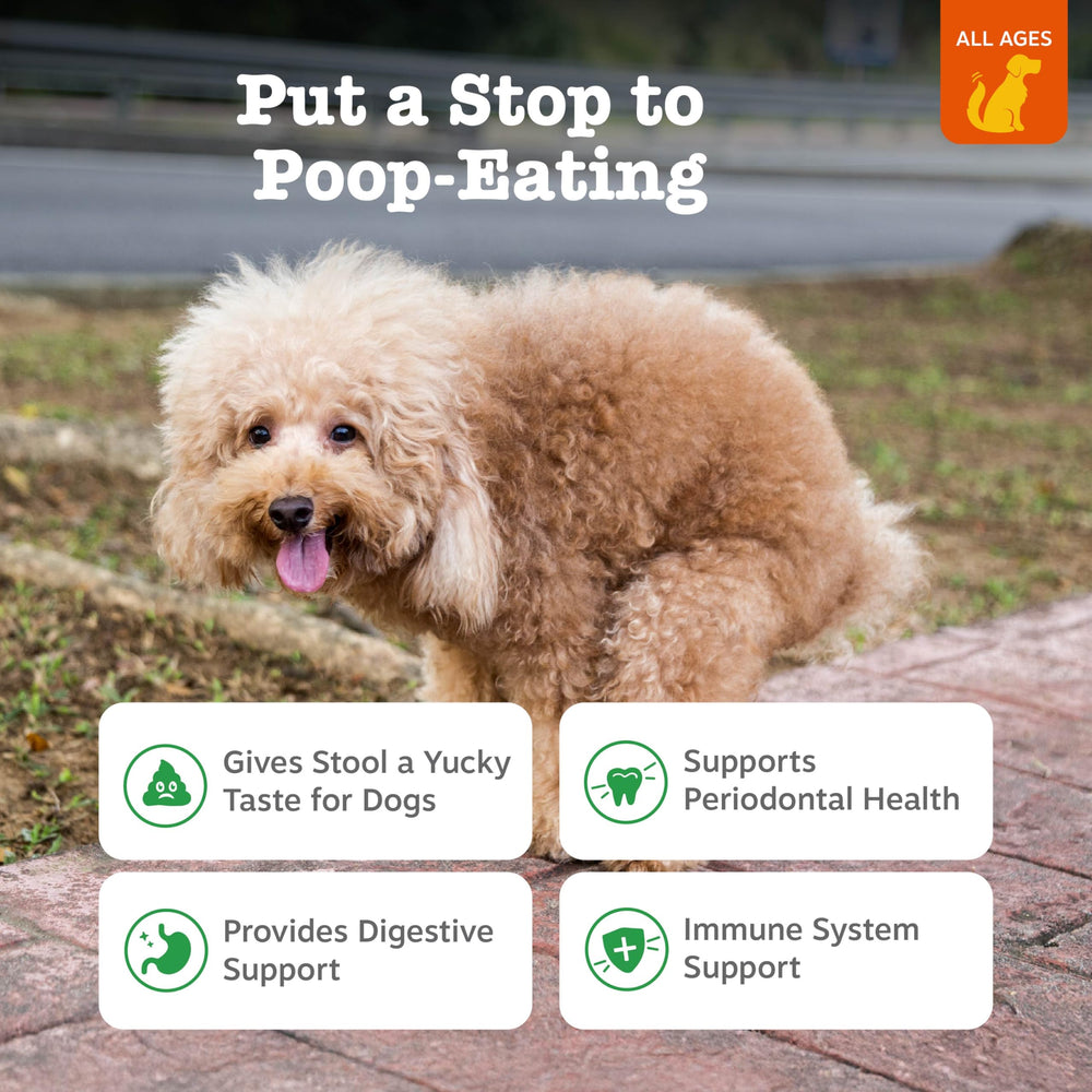 Zesty Paws bouchées gros plan révélant la texture appétente et bénéfique