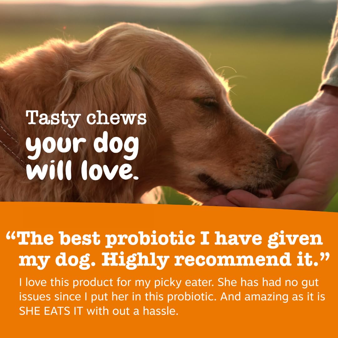 zesty paws bouteille ouverte révélant 90 comprimés pour approvisionnement durable
