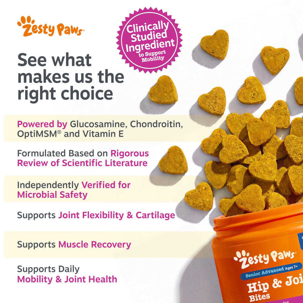 Pot Zesty Paws ouvert avec gommes dispensées pour usage quotidien simple