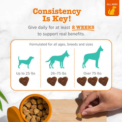 Zesty Paws friandise dans la main pour administration simple et rapide