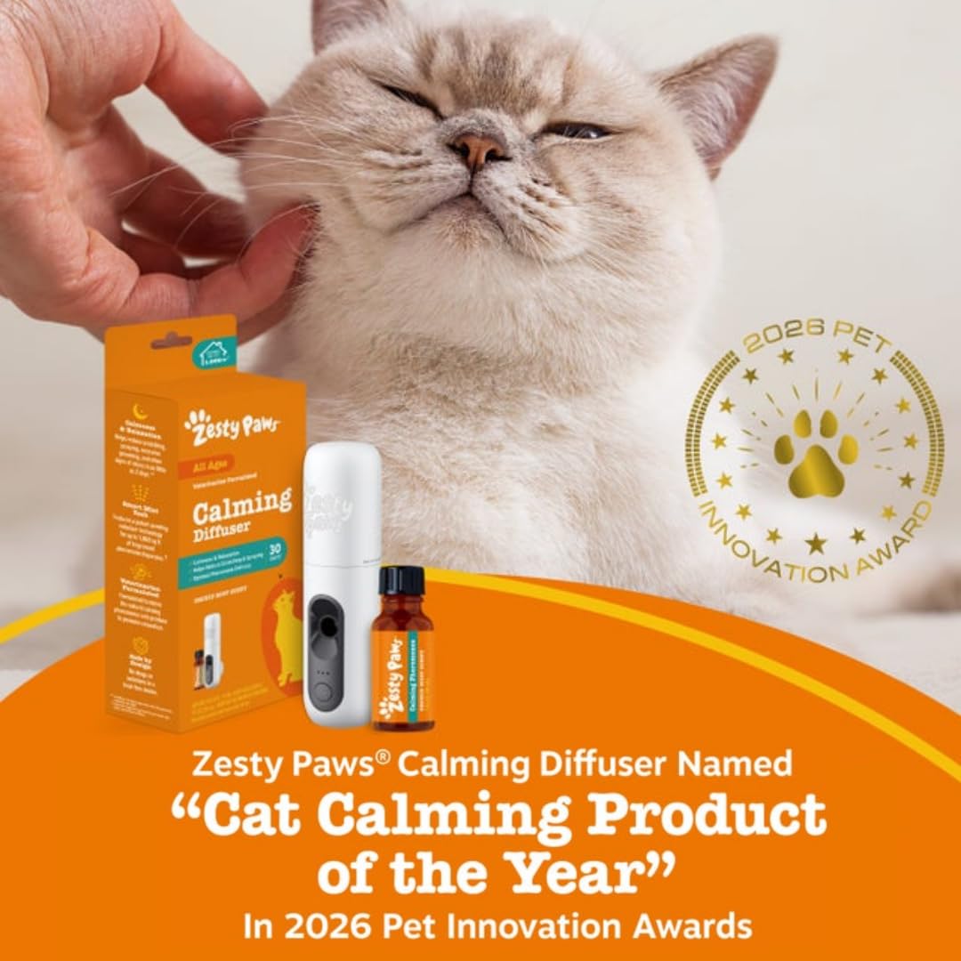 Zesty Paws chat relaxé près du diffuseur, réduction visible du stress comportemental