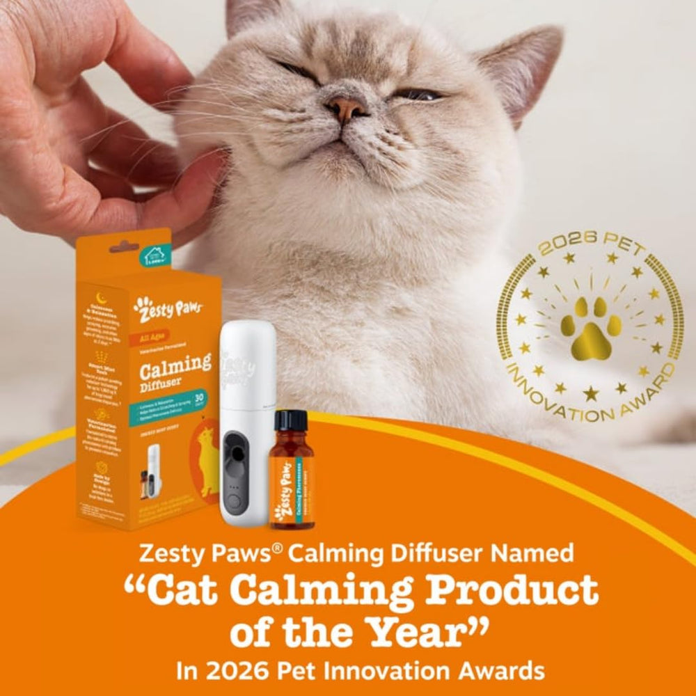 Zesty Paws chat relaxé près du diffuseur, réduction visible du stress comportemental
