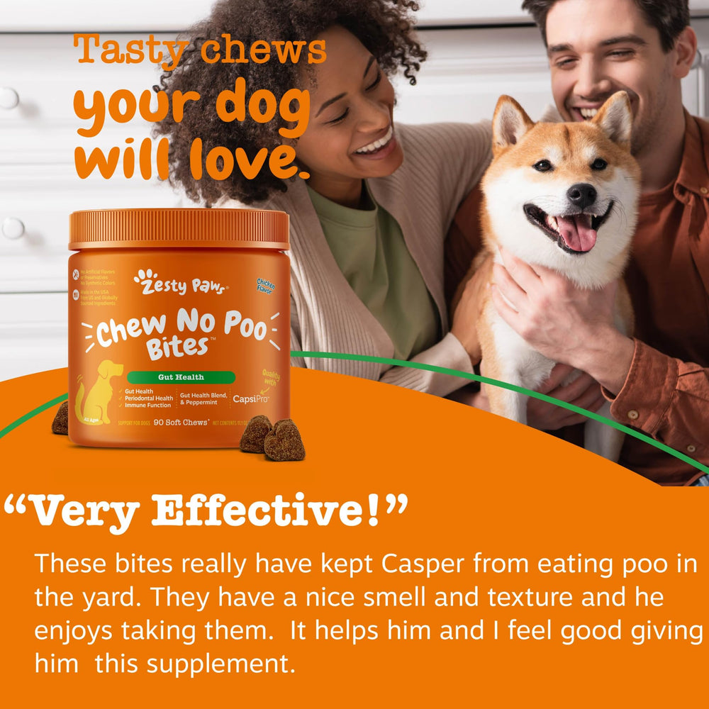 Chien en famille consommant une bouchée Zesty Paws, favorisant l'obéissance