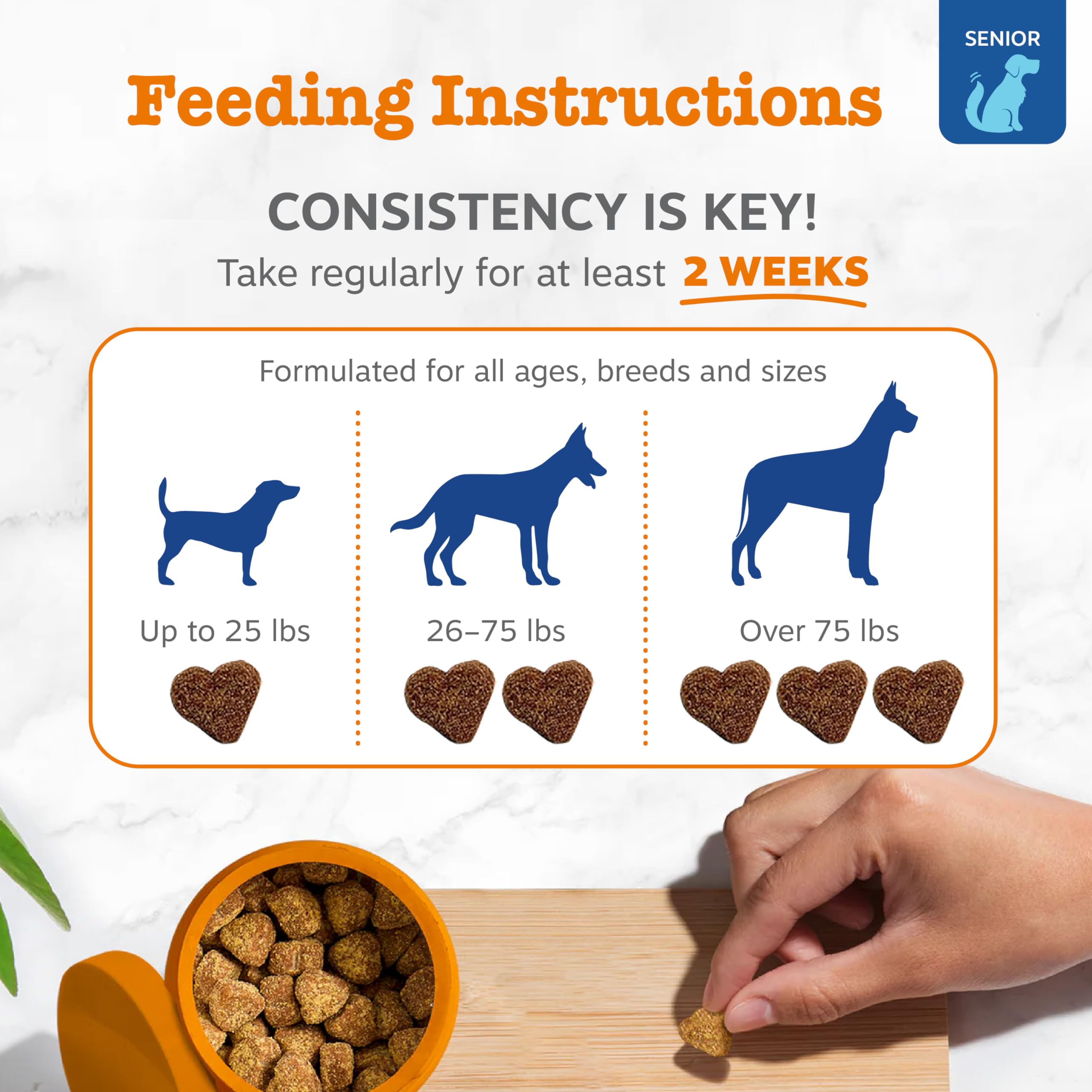 Zesty Paws chien mange friandise, appui digestion et confort
