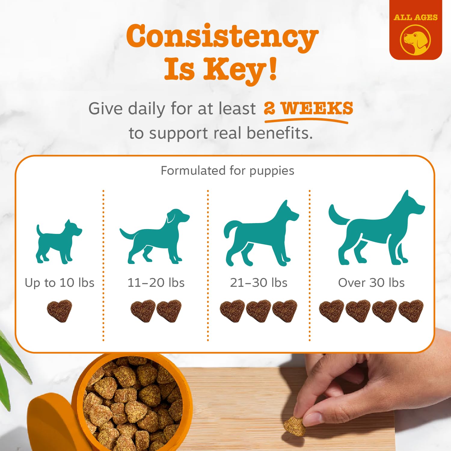 Zesty Paws chiot mangeant une friandise pour apaiser rapidement en situation stress
