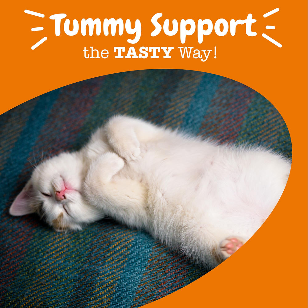 Zesty Paws comparaison taille avec main pour visualiser dose quotidienne