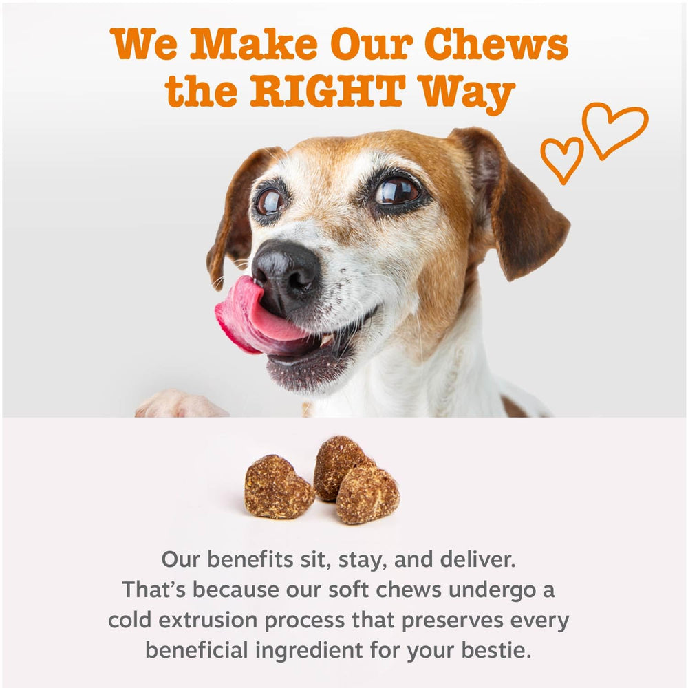 zesty paws comparaison taille avec règle montrant portion adaptée aux chiots
