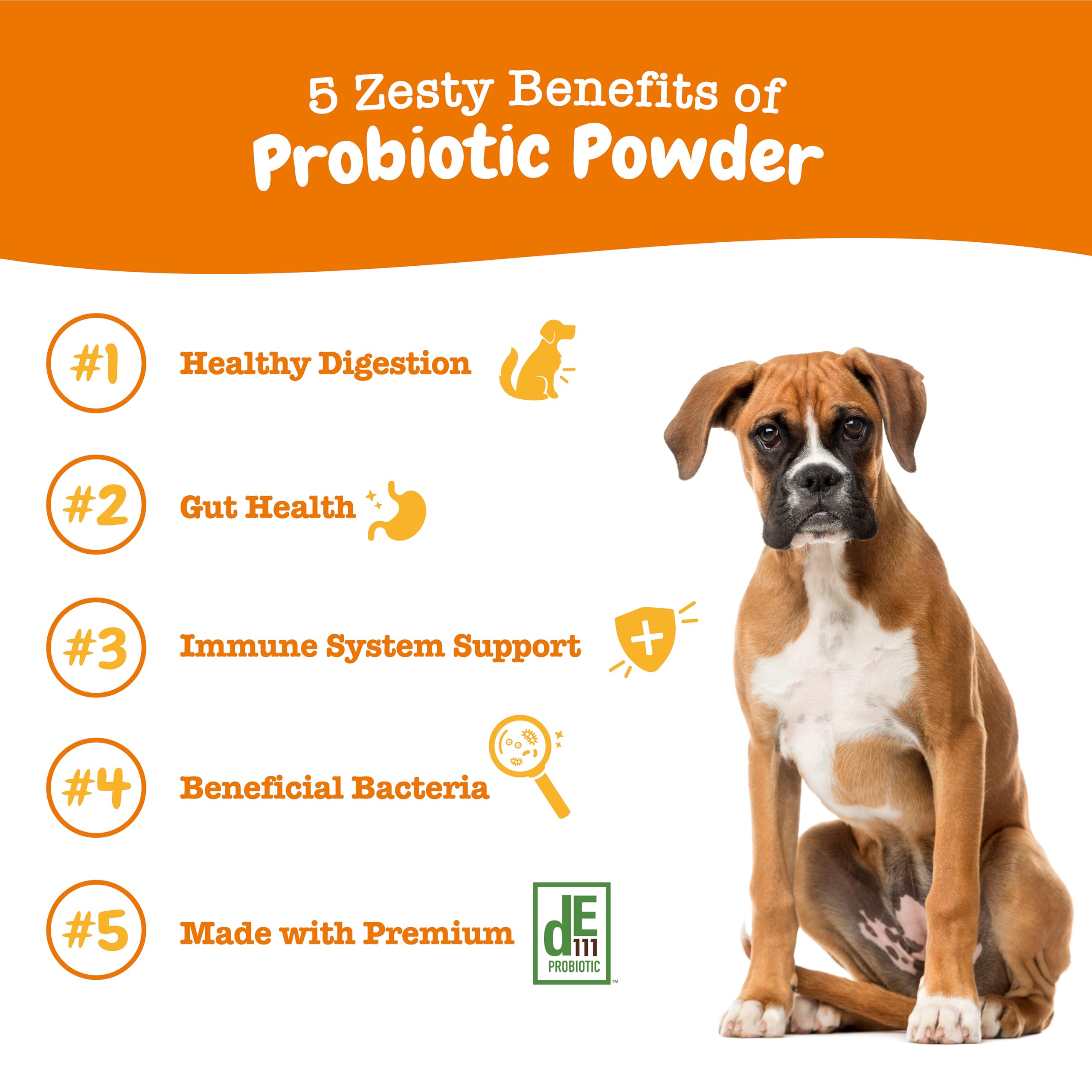 Gros plan poudre Zesty Paws montrant texture fine pour mélange facile