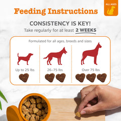 Illustration d'échelle Zesty Paws montrant portion et dosage recommandés