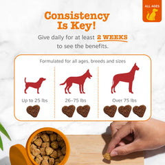 Zesty Paws étiquette lisible affichant ingrédients clés