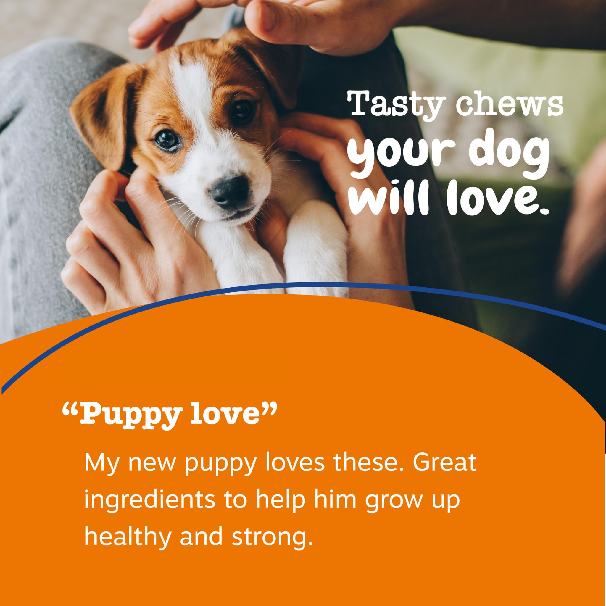 zesty paws étiquette ingrédients lisible pour transparence et sécurité