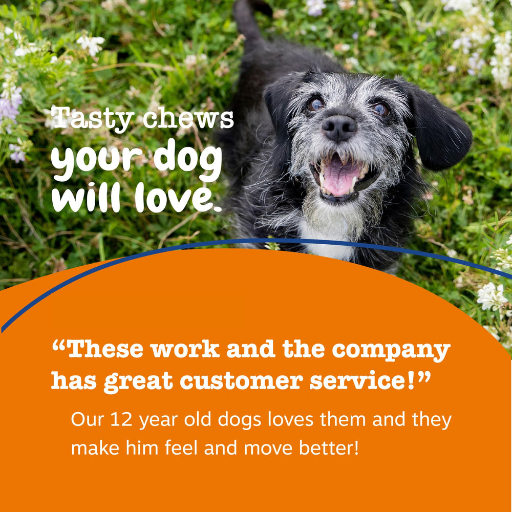 Zesty Paws étiquette avec ingrédients clés pour transparence et confiance