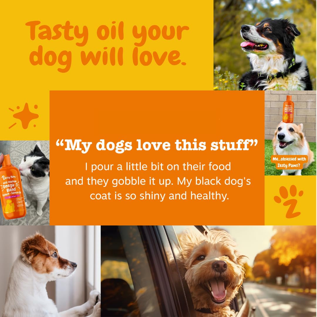 Zesty Paws huile ajoutée à la nourriture de chien pour brillance