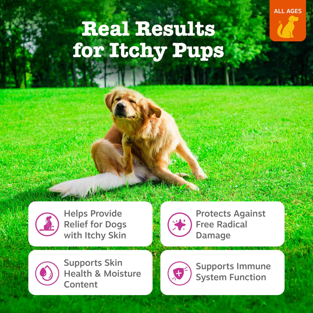 Zesty Paws bouchée gros plan indiquant appétence poulet et nutrition