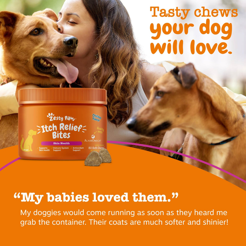 Zesty Paws chien mangeant une bouchée pour soutien cutané quotidien