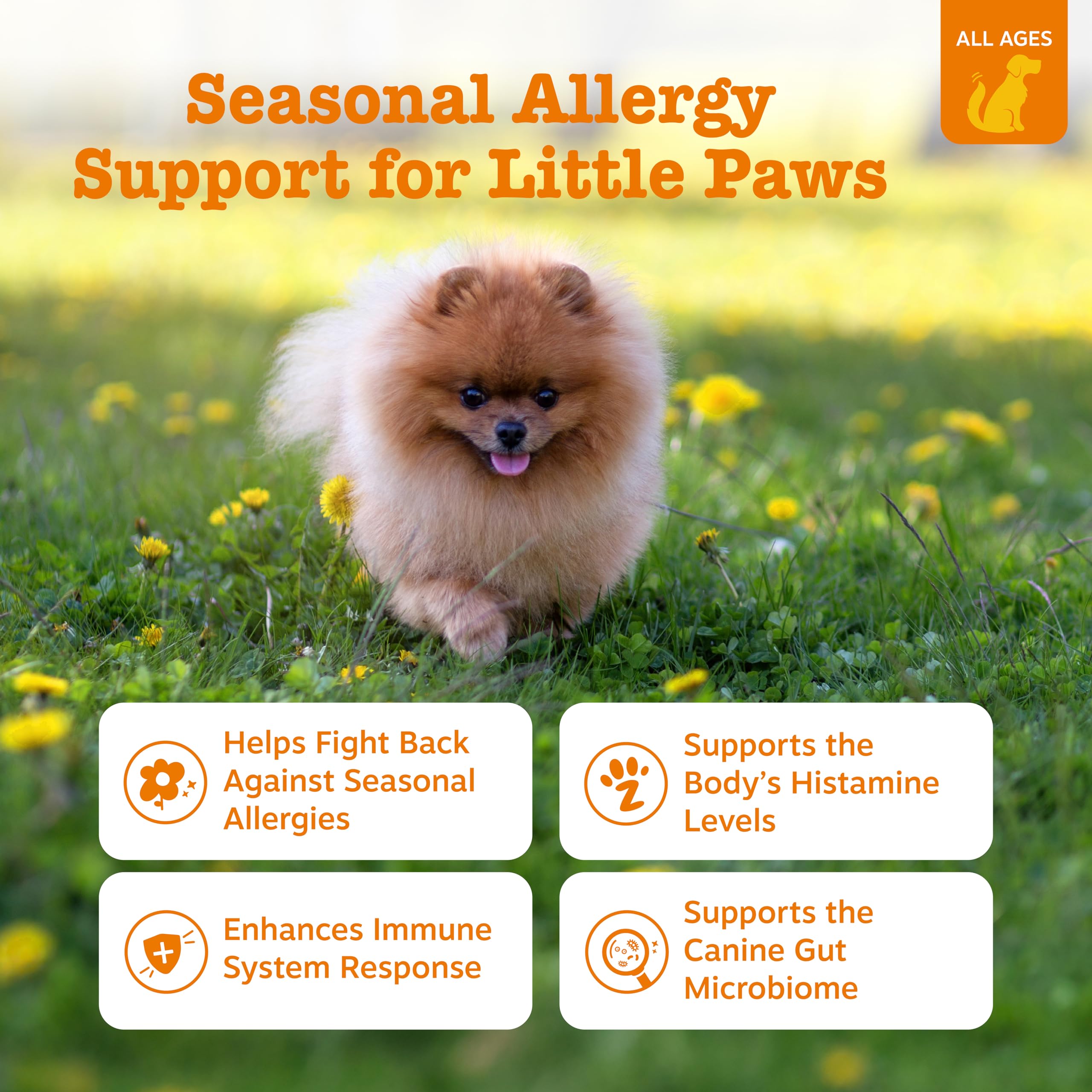 Zesty Paws gros plan sur texture du chew souligne appétence et douceur