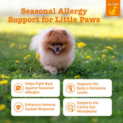 Zesty Paws gros plan sur texture du chew souligne appétence et douceur