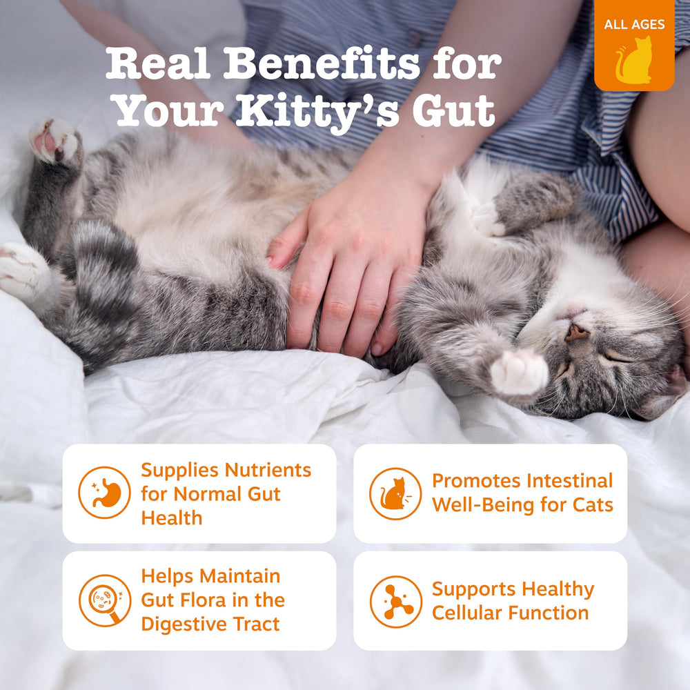 Zesty Paws gros plan texture crémeuse offrant facilité d ingestion